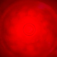 Thumbnail for Quantum Copper Bottle – Detox, Shield & Reprogram Your Cells