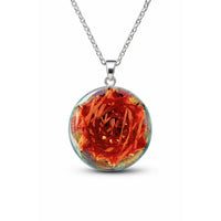 Thumbnail for Sex Magnet Vector Equilibrium Vortex Resonator