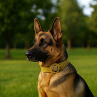 Thumbnail for 🐾 Cosmic Sensor Collar for Dogs – Metayantra®