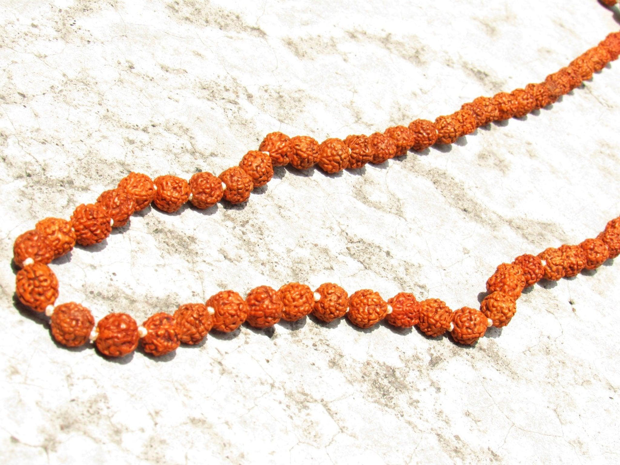 Rudraksha's Japa Mala - Metayantra Consciencia